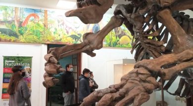 Museos_01-