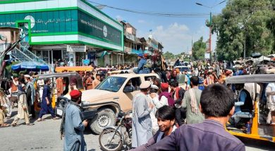 611a9691cd6ef_1004x565