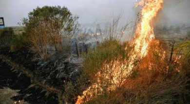 INCENDIOS (1)