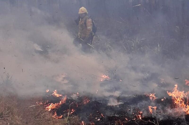 Bomberos Voluntarios debieron combatir un incendio forestal por casi 12 horas