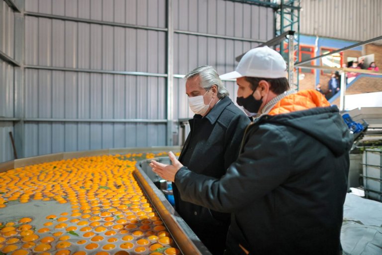 Buena repercusión y cautela en el sector citrícola tras los anuncios del presidente