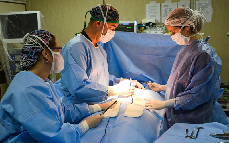 Se realizó una nueva donación de órganos y tejidos para trasplante