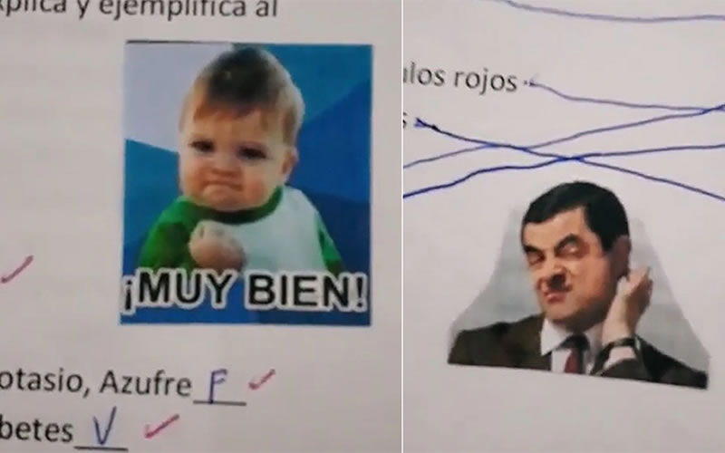 Fue noticia nacional: Una concordiense corrigió con memes