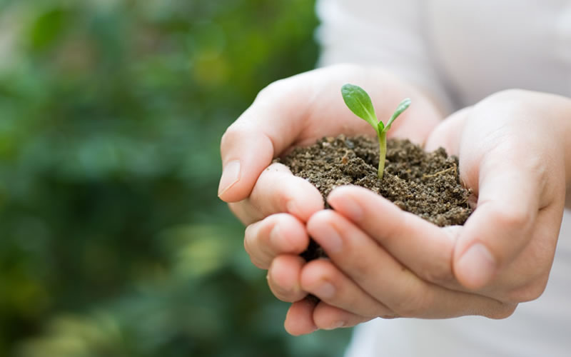 Convocatoria Abierta: 6° Feria Internacional de Ambiente Eco–Ciencia 2022