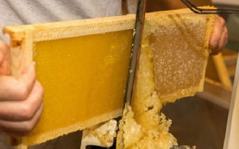 Liberan 600 millones de pesos para productores afectados por la sequía y se suman créditos a valor producto