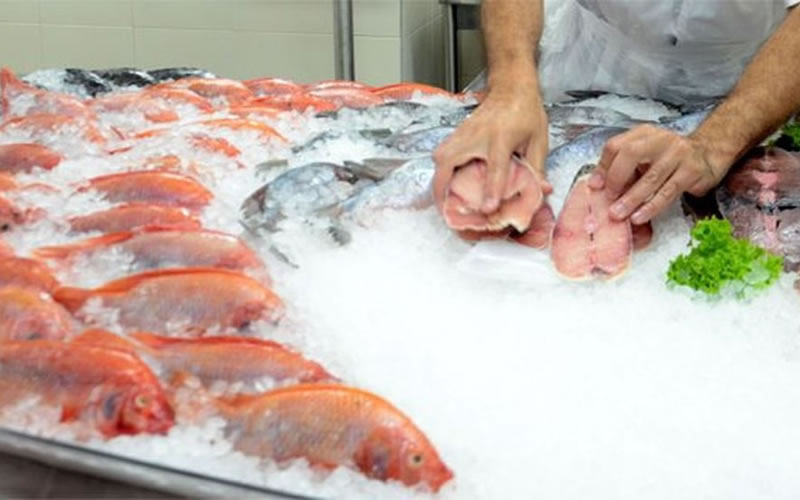 Recomendaciones bromatológicas para Semana Santa