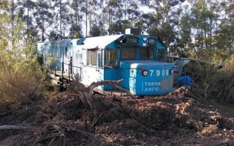 Animales sobre las vías provocaron el descarrilamiento de un tren que se dirigía a Concordia