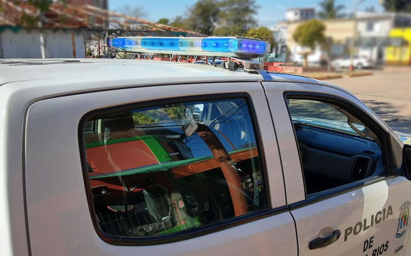 Robó varios elementos e intentó darse a la fuga