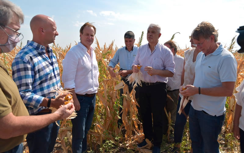 Más de 1.600 productores entrerrianos se adhirieron a la emergencia por sequía y podrán acceder a aportes