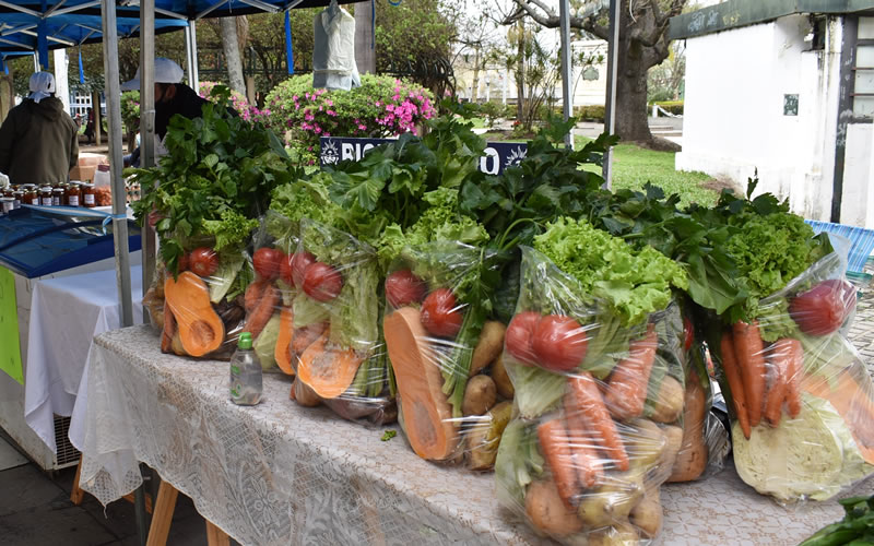 Feria de la Economía Social en la Costanera
