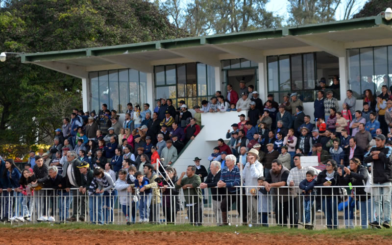 Grave accidente durante una reunión Hípica en Camba Paso