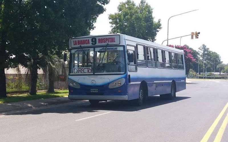 Tránsito confirmó que se utilizarán más de 15 colectivos para cubrir el recorrido de la Línea 9 y la 9 A