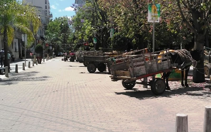 Recolectores cartoneros protestaron frente a la Municipalidad este jueves por la mañana