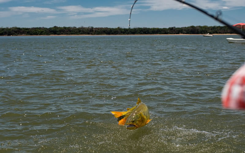 En Entre Ríos los pescadores se sumarán a las tareas de monitoreo del recurso ictícola