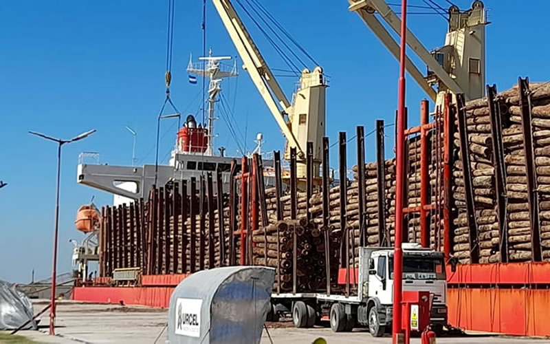 Trabajan en una agenda de alcance regional para impulsar el agregado de valor a la forestación