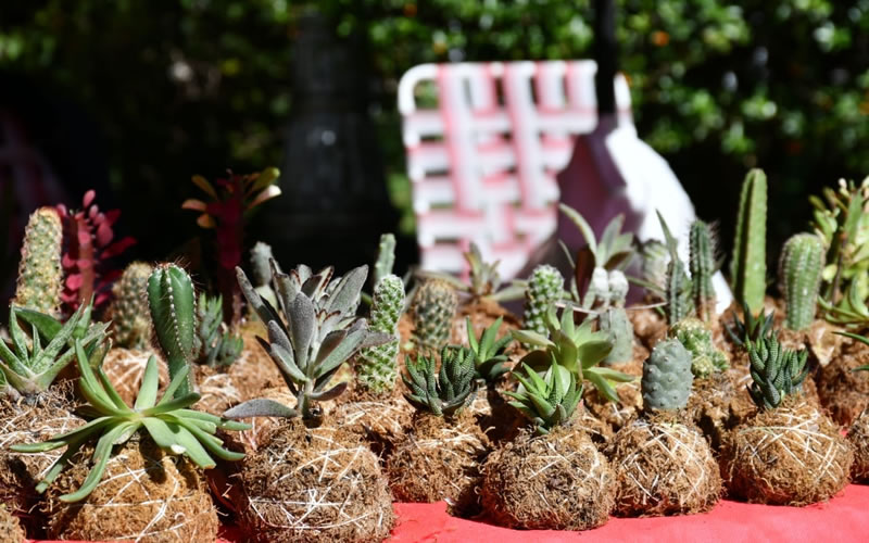 La Feria Municipal de la Economía Social nuevamente en la Costanera de Concordia