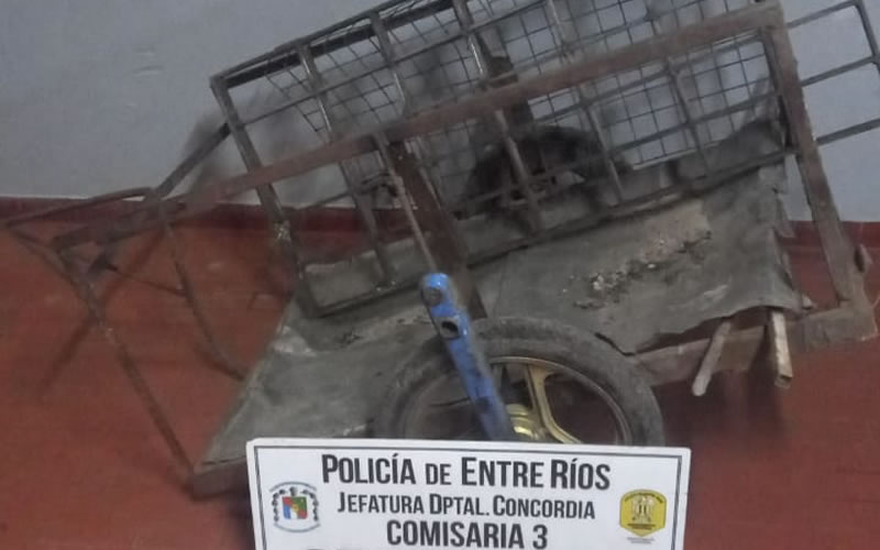 Joven robó una tapa de boca de tormenta