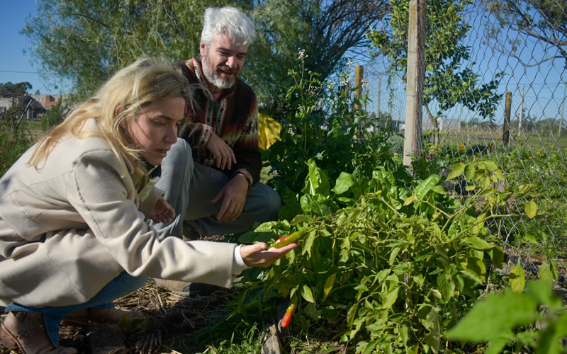CAFESG continúa el fomento de huertas familiares en la ciudad de Federación