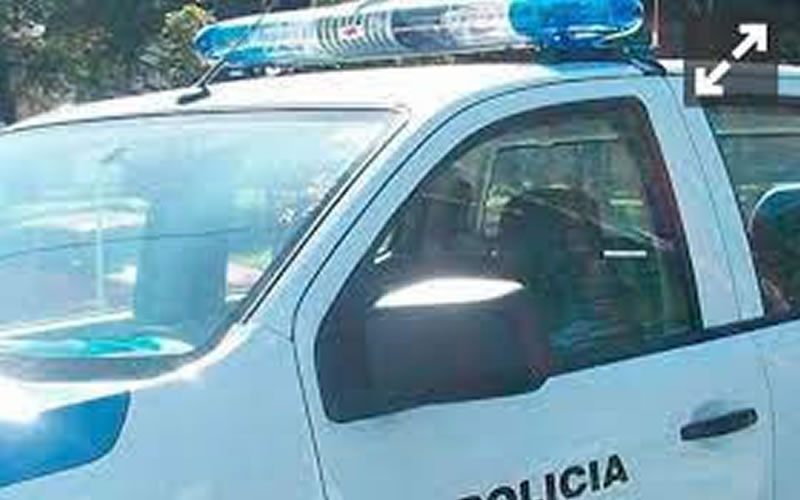 Encontró a un ladrón en el patio de su casa