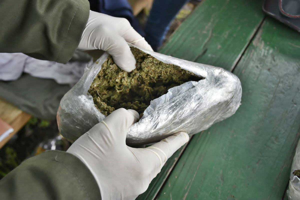 En el ingreso a Concordia: Controlan la bodega de un omnibus y encuentran paquetes con marihuana
