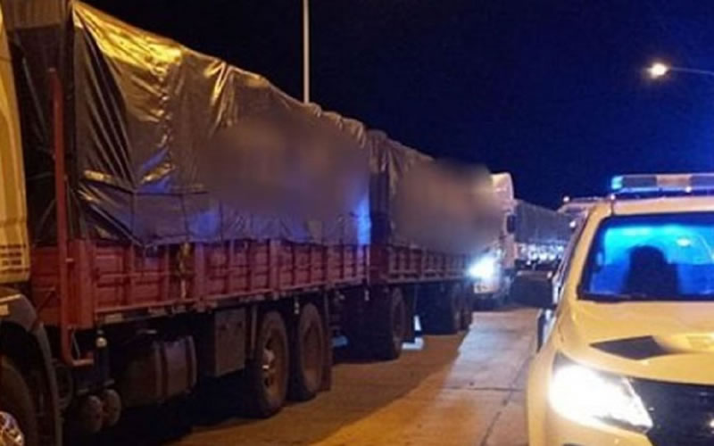 Camionero que transportaba carga excedida de peso evadió un control y atacó a golpes a un trabajador vial
