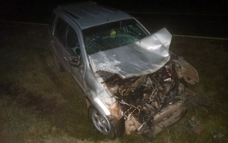 Un hombre sufrió lesiones al chocar con una vaca en la Autovía 14