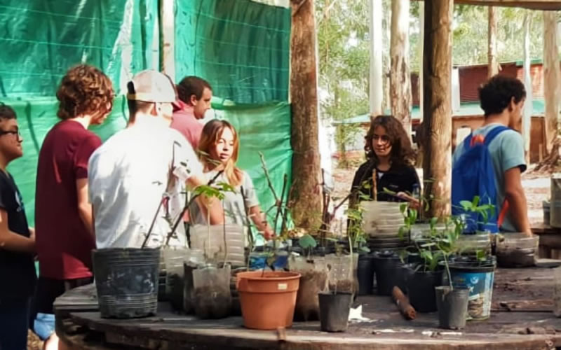 Gracias a donaciones y al apoyo de estudiantes, suma especies nativas el vivero de CODESAL