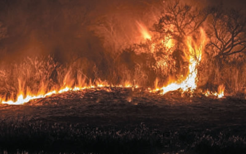 Bordet solicitó la colaboración de las Fuerzas Armadas para combatir los incendios en islas