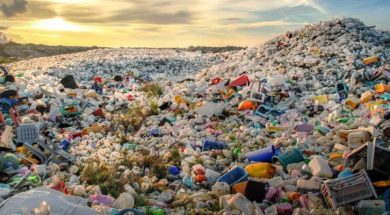 impacto-ambiental-causas-e1594846532632