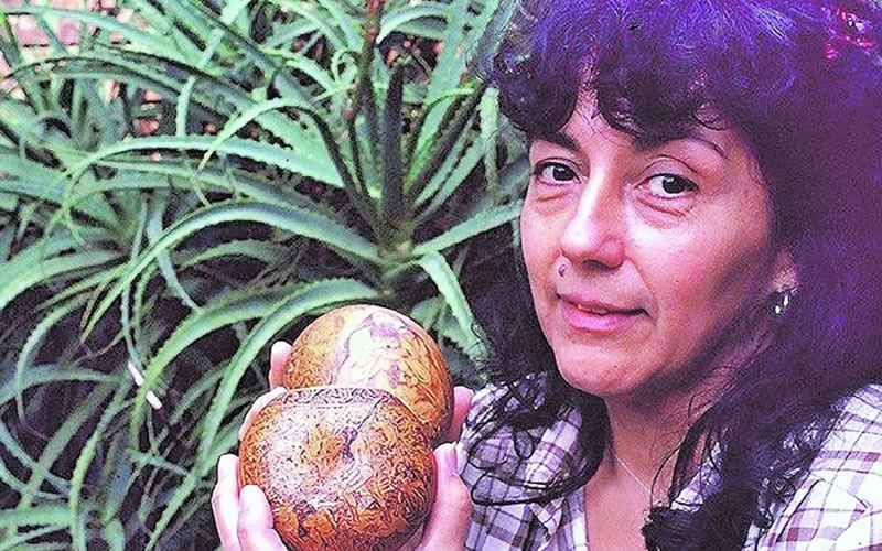 Se extendió el plazo de entrega de trabajos para el Concurso de Poesía, Narrativa y Artes Visuales Mujeres Originarias de Entre Ríos “Rosa Albariño”