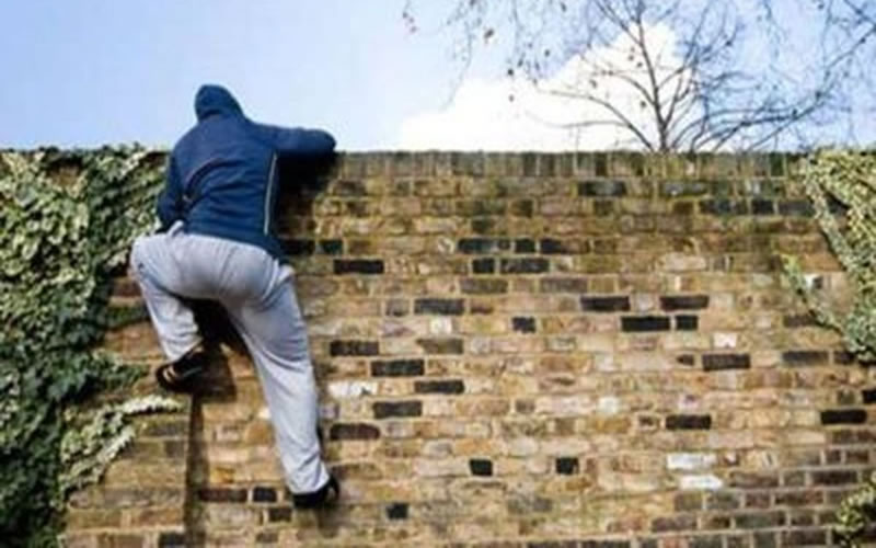 Treparon un muro de 2,50 metros para robar en una casa