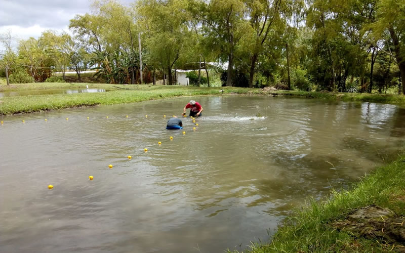 La producción acuícola entrerriana se proyecta como una actividad sustentable