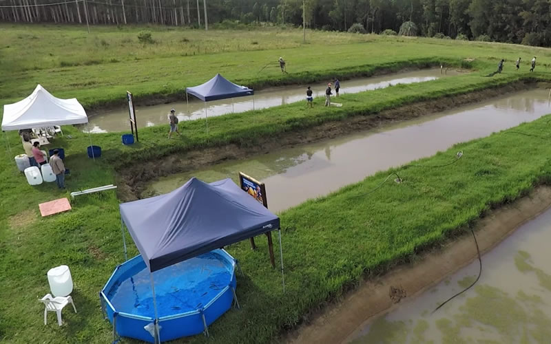 Se realizará la segunda jornada de producción de peces en la Región de Salto Grande