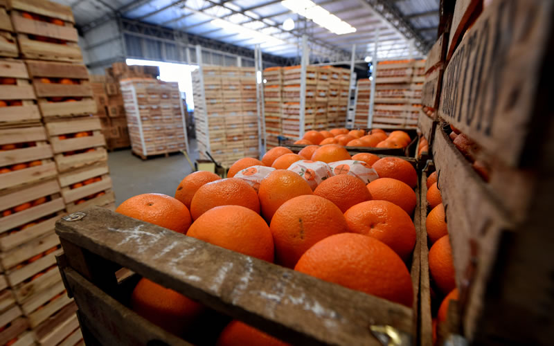 Referentes de la producción citrícola destacaron la apertura de la exportación a Vietnam