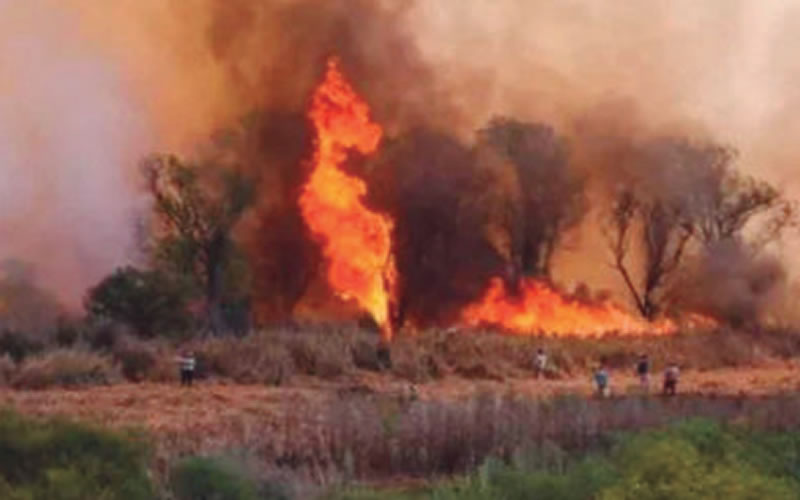 Entre Ríos continúa con tres focos activos de incendios