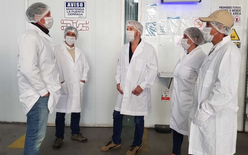 Frigerio recorrió una empresa arandanera junto al precandidato a intendente, Guillermo Marcone