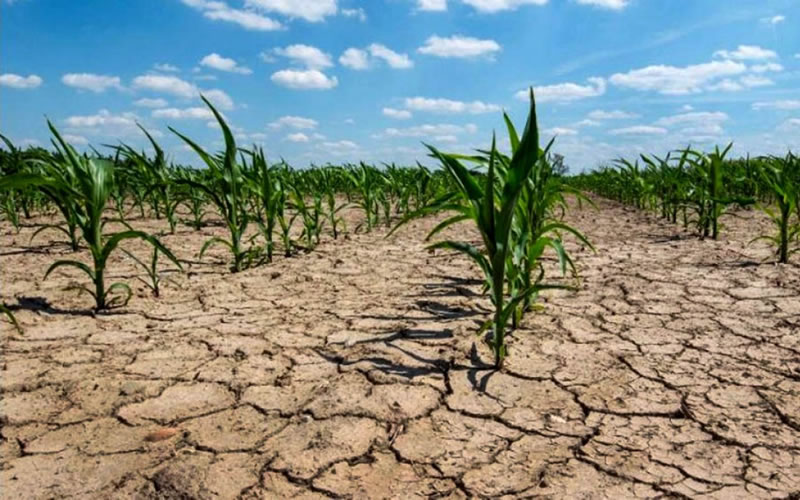 Critica situación: Massa recibirá a ministros provinciales y pedirá más fondos al BID