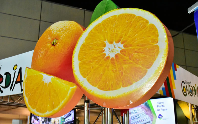 Este viernes es la presentación oficial de la Fiesta de la Citricultura 2022 y el Maratón de Reyes 2023