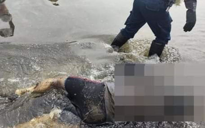Fue hallada una persona sin vida a la vera del Arroyo Yuquerí Grande