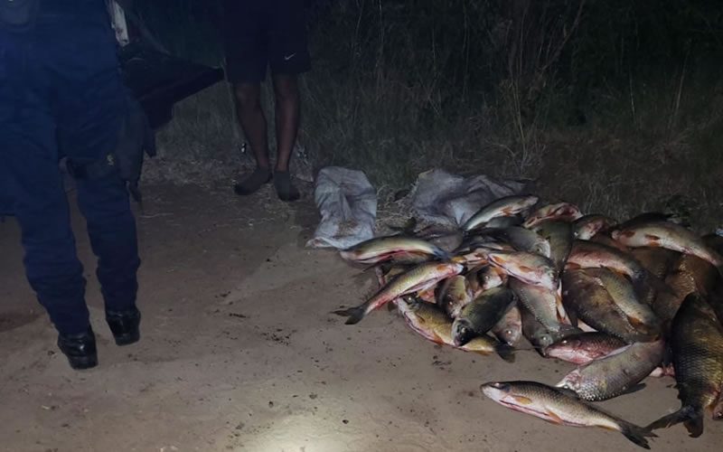 Decomisaron pescados en cercanía de playa «Los Tomates»