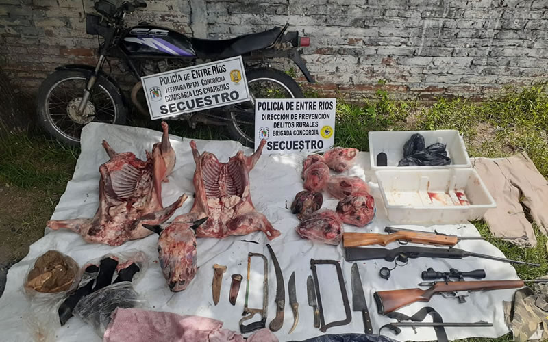 Secuestran carne ovina faenada y varias armas de fuego