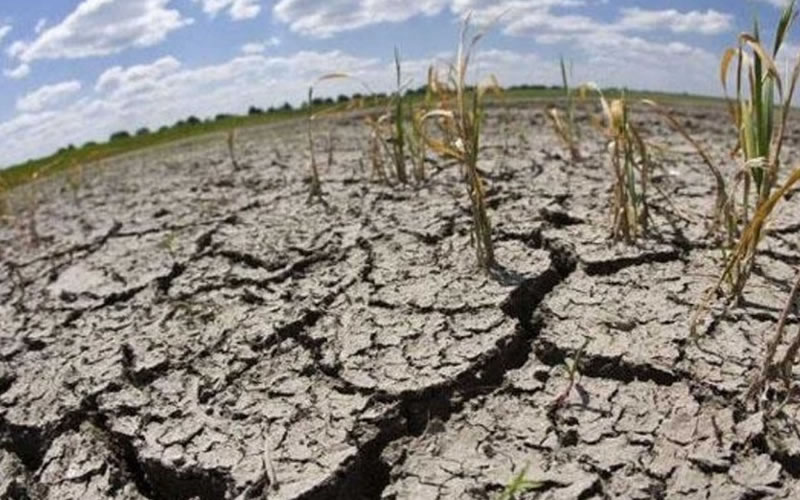 Sequía: El campo espera que esta semana se declare la emergencia agropecuaria