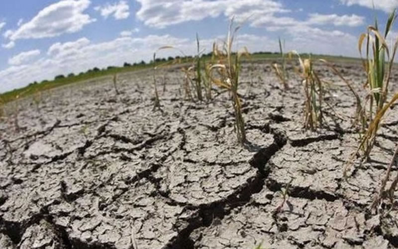 El campo celebró la declaración de la emergencia agropecuaria: “La situación de los productores es crítica”