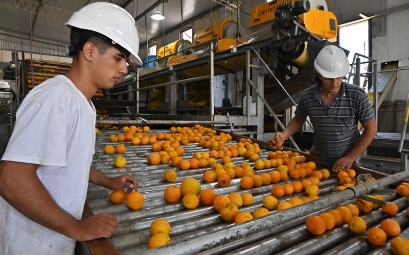 El Área Municipal de Empleo convoca a postulantes para entrenamientos para el trabajo