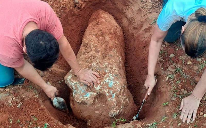 Importante hallazgo arqueológico en el Parque San Carlos