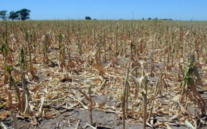 Sequía: El campo pide reprogramar deudas y acceder a créditos blandos