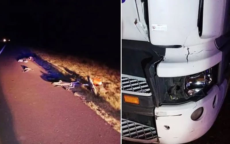 Concordiense murió al ser chocado por un camión mientras transitaba en bicicleta por Ruta 12