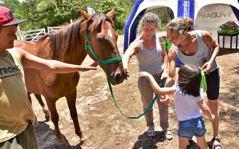 Más caballos recuperados de la tracción a sangre inician una nueva vida en el campo