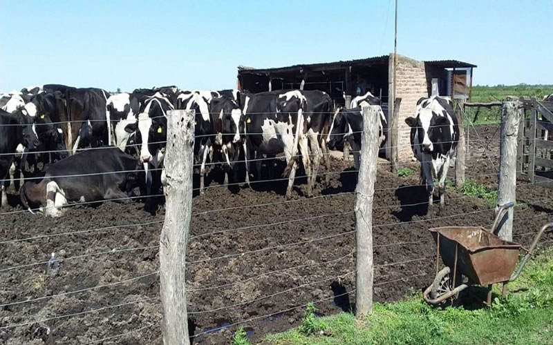 La provincia convocó a las organizaciones que nuclean a las industrias lácteas