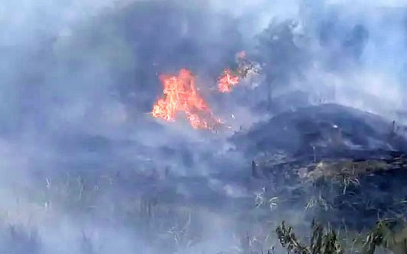 Entre Ríos mantiene focos activos de incendios en cuatro departamentos